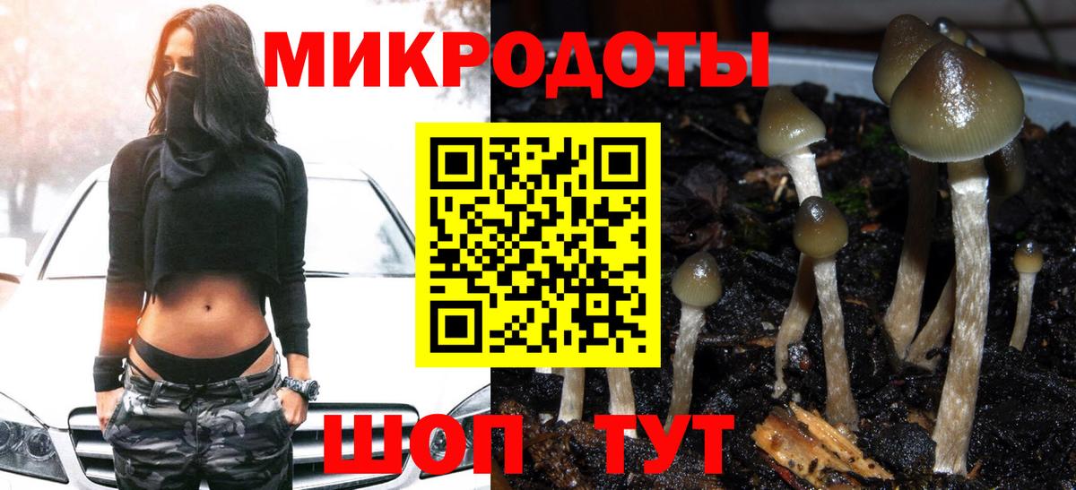 Псилоцибиновые грибы Psilocybe  Вход с VPN  Галлюциногенные грибы Magic Shrooms  Советский 